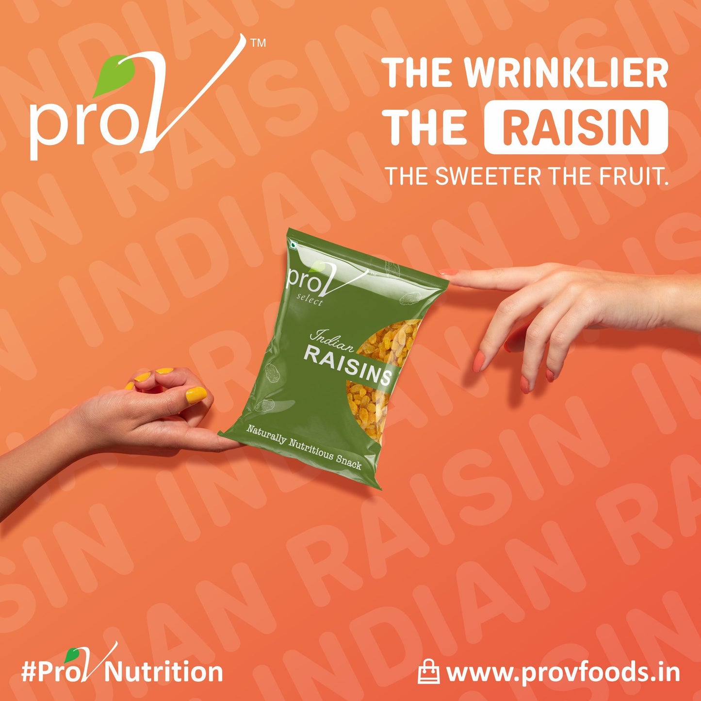 ProV Select Indian Raisins 500g Raisin Raisins