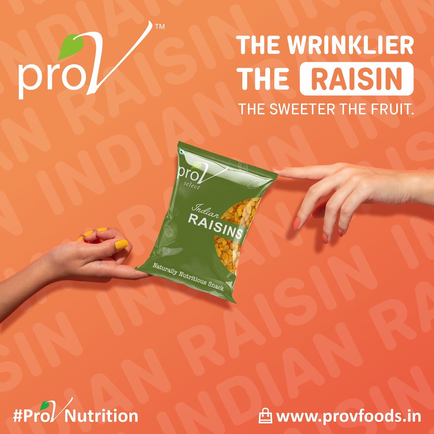 ProV Select Indian Raisins 500g Raisin Raisins