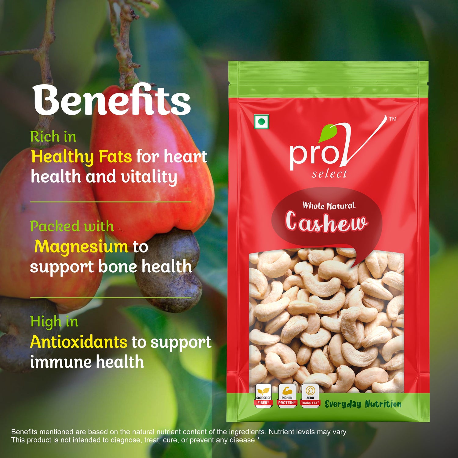 ProV Select Cashew 500g Nuts Cashew
