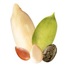 Seeds