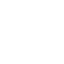 Info Icon