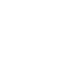 Info Icon