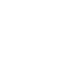 Info Icon