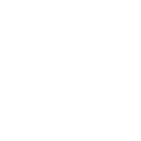 Info Icon